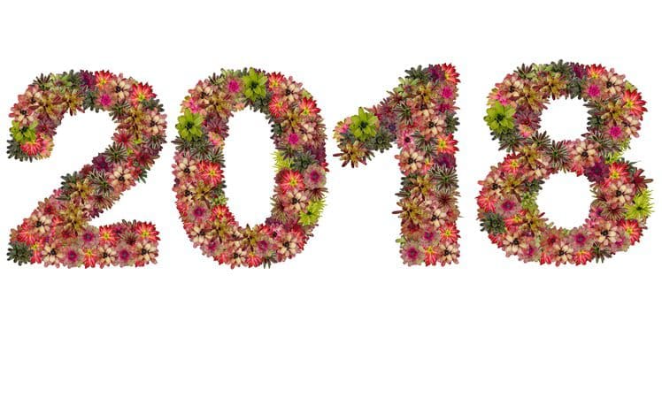 New year 2018 made from bromeliad flowers New year 2018 made from bromeliad flowers